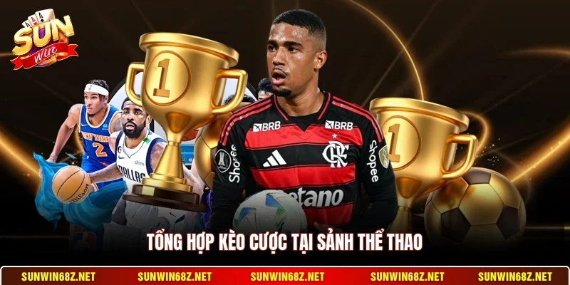 SBOBET Sunwin - Top 1 Sảnh Cá Cược Thể Thao Trực Tuyến 3 Sunwin Tổng hợp kèo cược tại sảnh thể thao